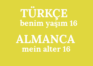 benim+ya%C5%9F%C4%B1m+16-mein+alter+16.png