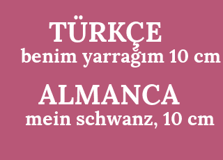 benim+yarra%C4%9F%C4%B1m+10+cm-mein+schwanz%2C+10+cm.png