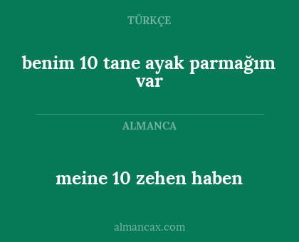 meine 10 zehen haben - benim 10 tane ayak parmağım var