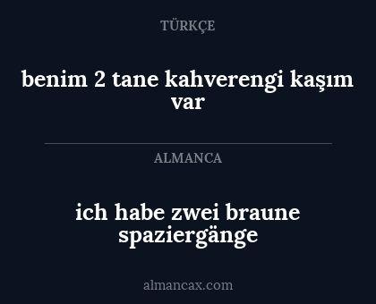 ich habe zwei braune spaziergänge - benim 2 tane kahverengi kaşım var