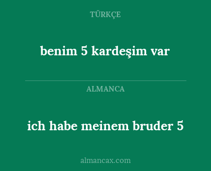 benim 5 kardeşim var - ich habe meinem bruder 5