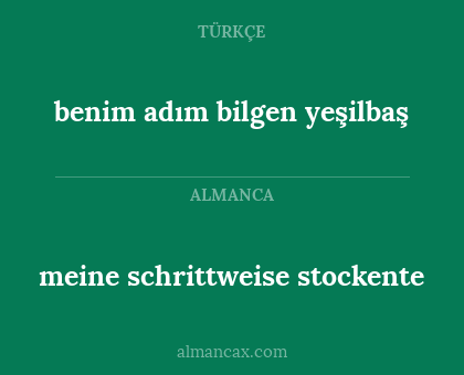benim adım bilgen yeşilbaş - meine schrittweise stockente