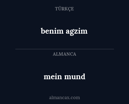 benim agzim - mein mund