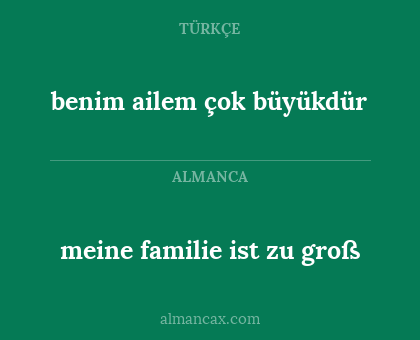 benim ailem çok büyükdür - meine familie ist zu groß