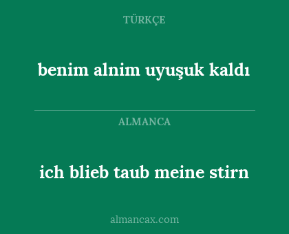 benim alnim uyuşuk kaldı - ich blieb taub meine stirn