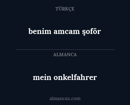 mein onkelfahrer - benim amcam şoför