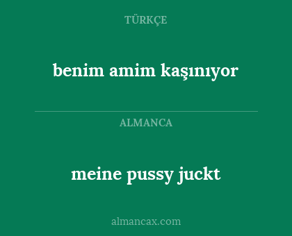 meine pussy juckt - benim amim kaşınıyor