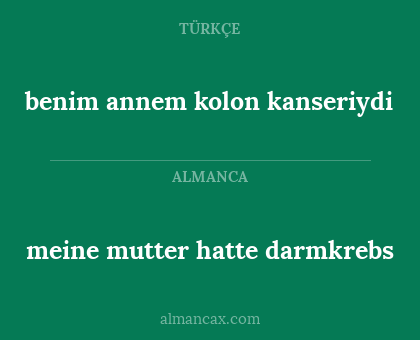 benim annem kolon kanseriydi - meine mutter hatte darmkrebs