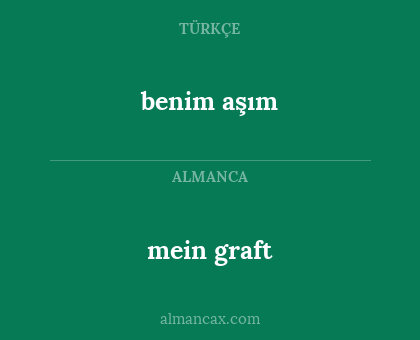 benim aşım - mein graft