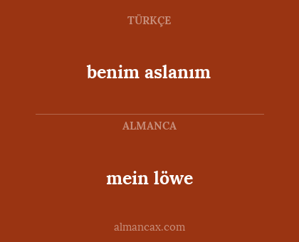 benim aslanım - mein löwe