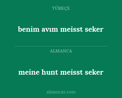 meine hunt meisst seker - benim avım meisst seker