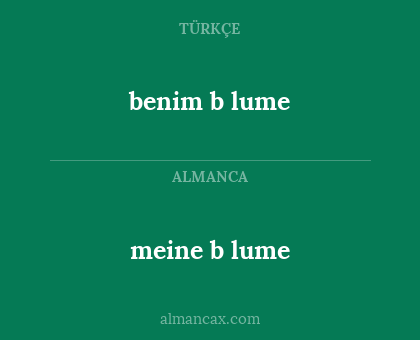 benim b
lume - meine b
lume