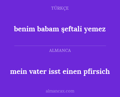 mein vater isst einen pfirsich - benim babam şeftali yemez