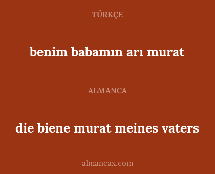 benim babamın arı murat - die biene murat meines vaters