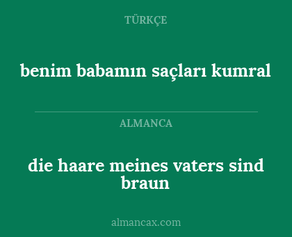 benim babamın saçları kumral - die haare meines vaters sind braun