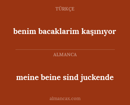 benim bacaklarim kaşınıyor - meine beine sind juckende
