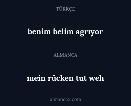 mein rücken tut weh - benim belim agrıyor