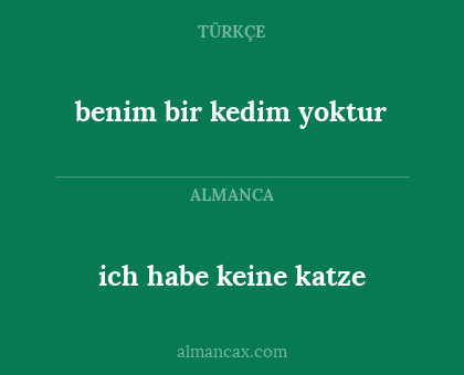 benim bir kedim yoktur - ich habe keine katze
