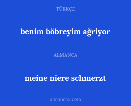 benim böbreyim ağriyor - meine niere schmerzt
