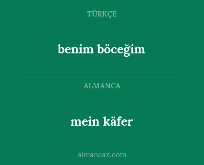 mein käfer - benim böceğim