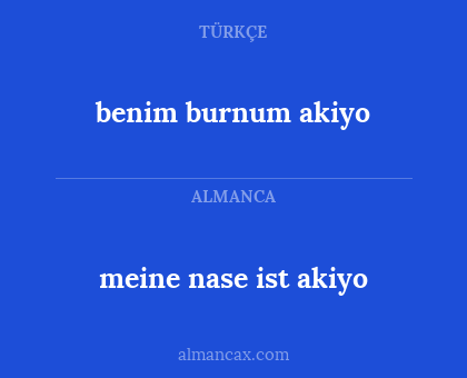benim burnum akiyo - meine nase ist akiyo