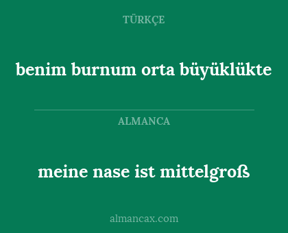 benim burnum orta büyüklükte - meine nase ist mittelgroß