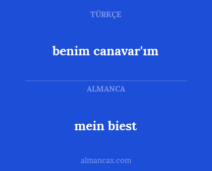 mein biest - benim canavar'ım