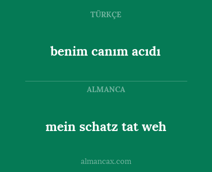 mein schatz tat weh - benim canım acıdı