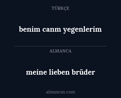 meine lieben brüder - benim canm yegenlerim