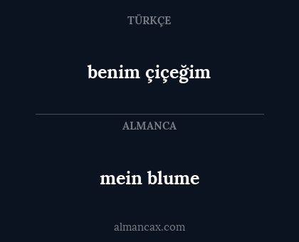 mein blume - benim çiçeğim