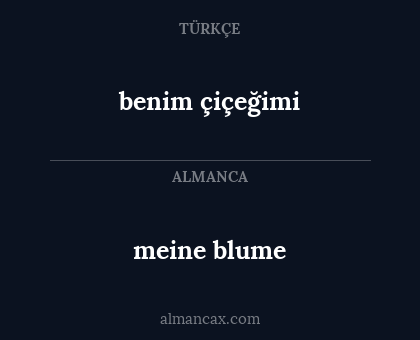 benim çiçeğimi - meine blume