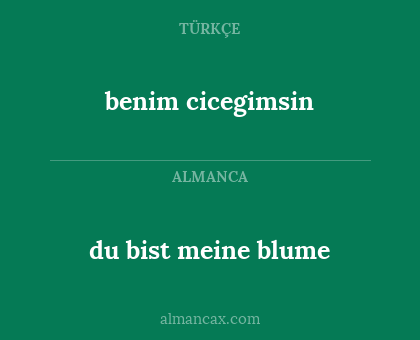 du bist meine blume - benim cicegimsin