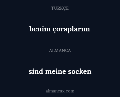 benim çoraplarım - sind meine socken