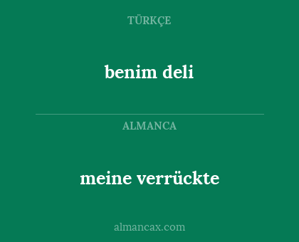 meine verrückte - benim deli