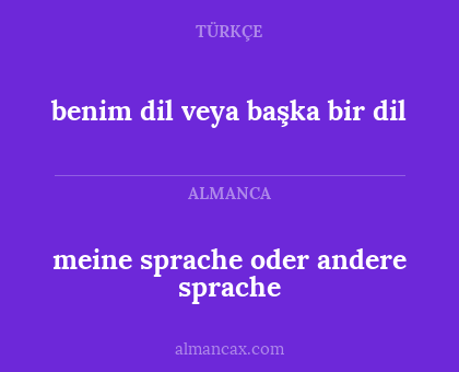 meine sprache oder andere sprache - benim dil veya başka bir dil