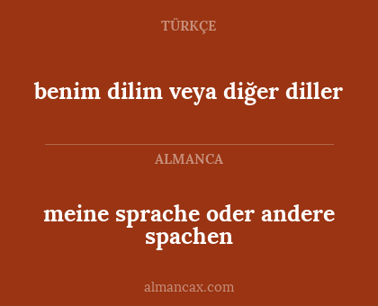 meine sprache oder andere spachen - benim dilim veya diğer diller