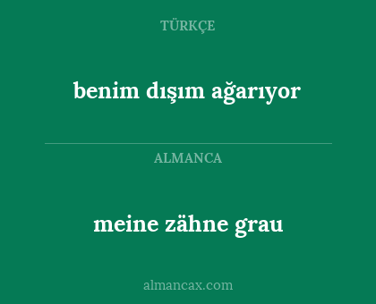 meine zähne grau - benim dışım ağarıyor