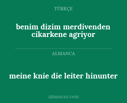 benim dizim merdivenden cikarkene agriyor - meine knie die leiter hinunter