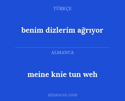 meine knie tun weh - benim dizlerim ağrıyor