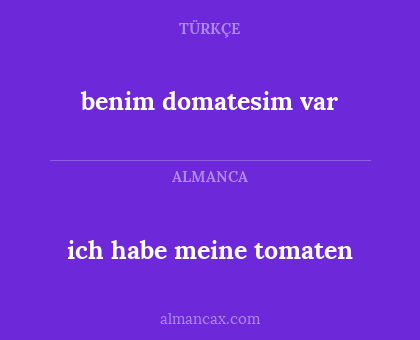 benim domatesim var - ich habe meine tomaten