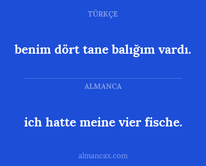 ich hatte meine vier fische. - benim dört tane balığım vardı.