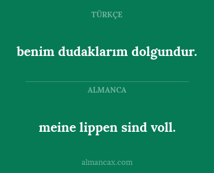benim dudaklarım dolgundur. - meine lippen sind voll.