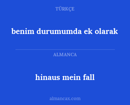 hinaus mein fall - benim durumumda ek olarak
