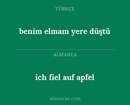 ich fiel auf apfel - benim elmam yere düştü
