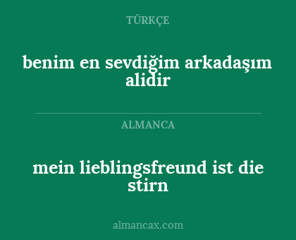 benim en sevdiğim arkadaşım alidir - mein lieblingsfreund ist die stirn