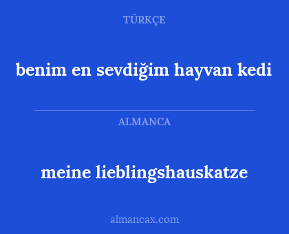 meine lieblingshauskatze - benim en sevdiğim hayvan kedi