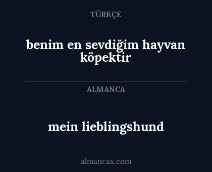 mein lieblingshund - benim en sevdiğim hayvan köpektir