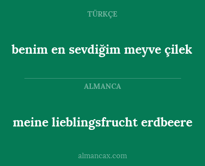 meine lieblingsfrucht erdbeere - benim en sevdiğim meyve çilek