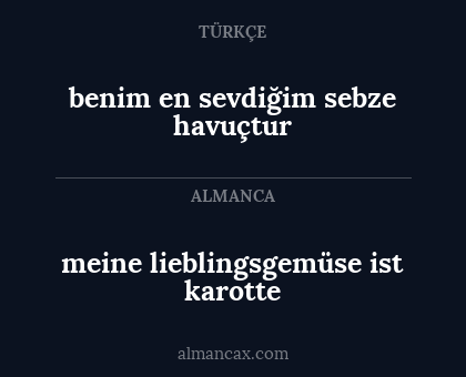 benim en sevdiğim sebze havuçtur - meine lieblingsgemüse ist karotte