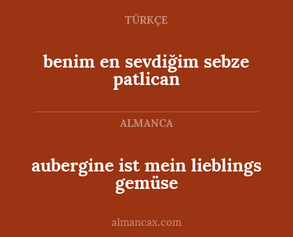 benim en sevdiğim sebze patlican - aubergine ist mein lieblings gemüse